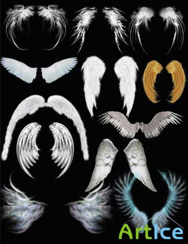   - Angel wings