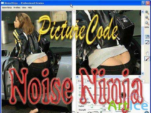 PictureCode Noise Ninja 2.3.2 for Adobe Photoshop 32/64 bit