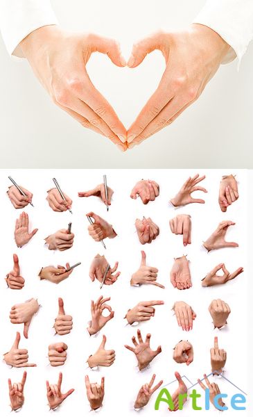 Quality Gestures of Hands Collection