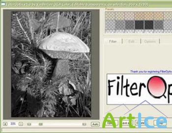 VanDerLee FilterOptix v1.0 - New Plug-In for photographers.
