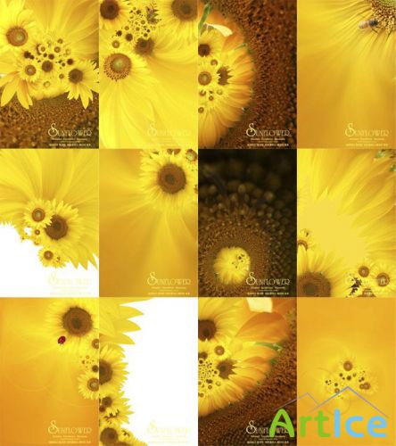  - Sunflower