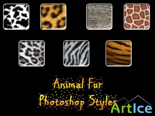   Photoshop - Animal