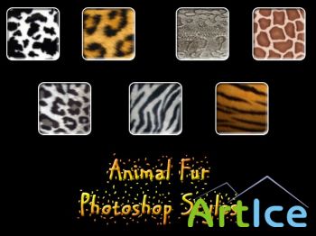   Photoshop - Animal