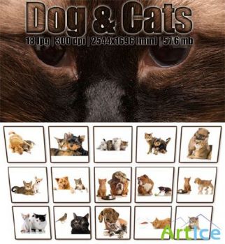 Dogs & Cats clipart