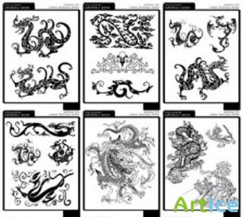 Dragon Detail Illustrations