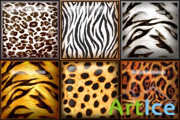Safari Styles
