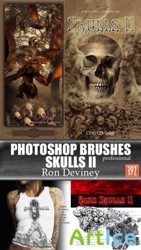 Skulls 2 Professional Photoshop Brushes