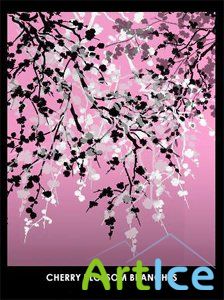 Cherry blossom branches