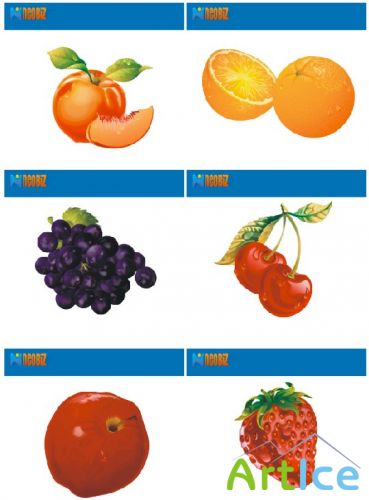 Vector Fruits