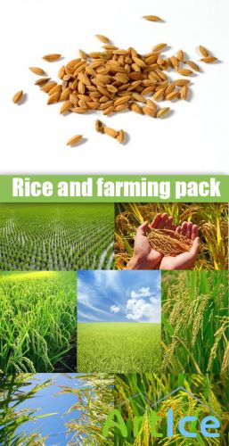 Rice and farming pack