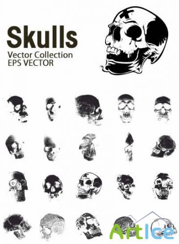 Skulls Vector Collection