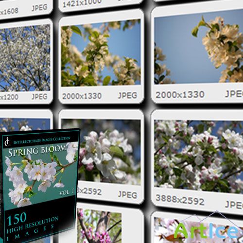 Intellectchaos Images Collection - Spring Bloom vol.01