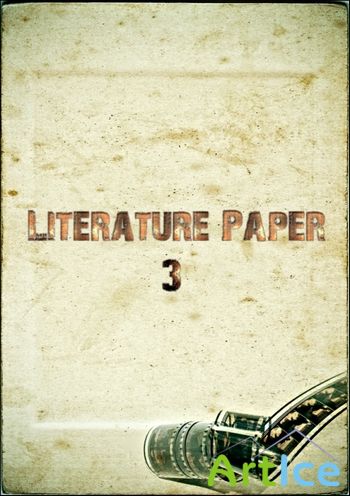 Literature Paper (Part 3)