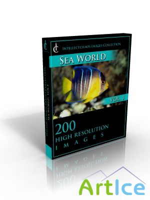 Intellectchaos Images Collection - Sea World vol.01