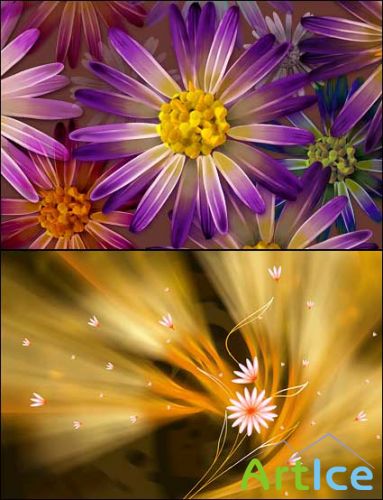 Floral Backgrounds for Photoshop