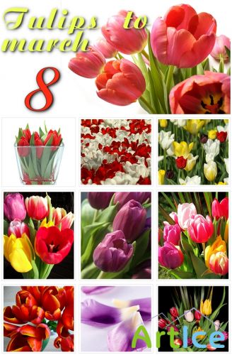 Tulips clipart #3