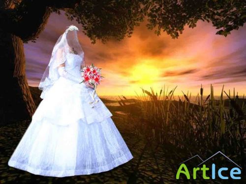Amazing Bride 2