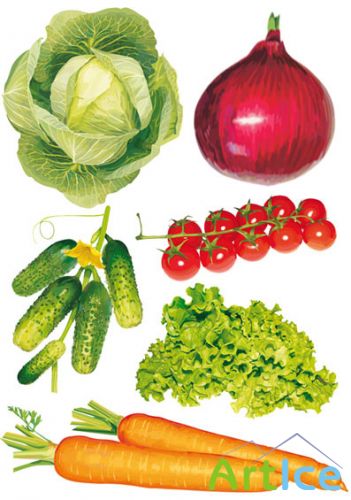 Vector Vegetables Pack
