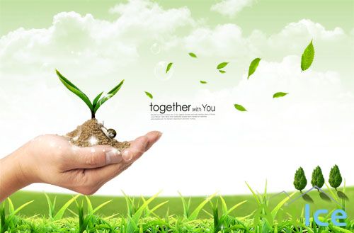 PSD templates - Spring 5