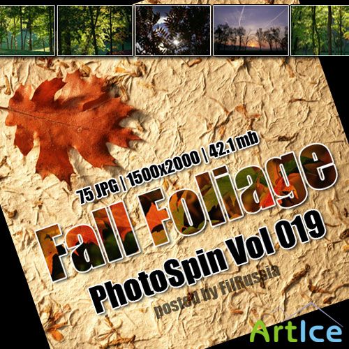 PhotoSpin Vol 019 - Fall Foliage