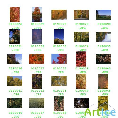 PhotoSpin Vol 019 - Fall Foliage