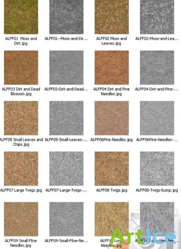 AmbientLight Texture - Forest Floor Texture Collection