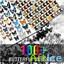 100 Butterfly Brushes for Photoshop