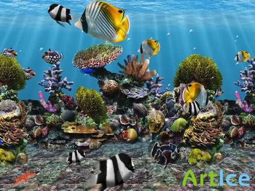 3D Fish School 4.8 Portable