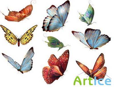 18 Butterflies - PNG Transparency