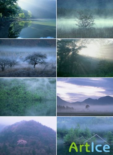       Landscapes with mist