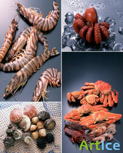     Klipart  Seafoods