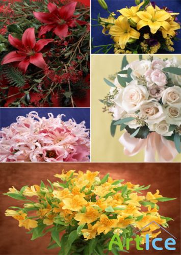      Klipart  Bouquets