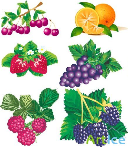 Amazing SS 7 Fruits