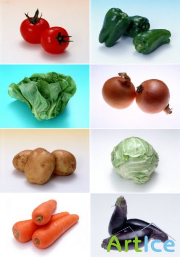     Klipart  Vegetables