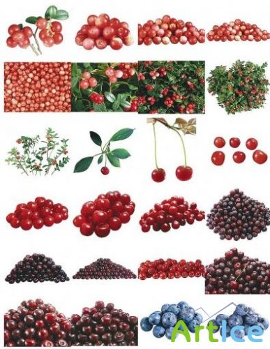 Clipart  Berries