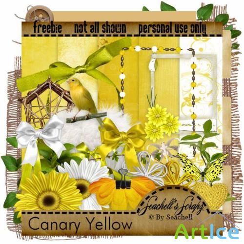 -  Canary Yellow / Ƹ 