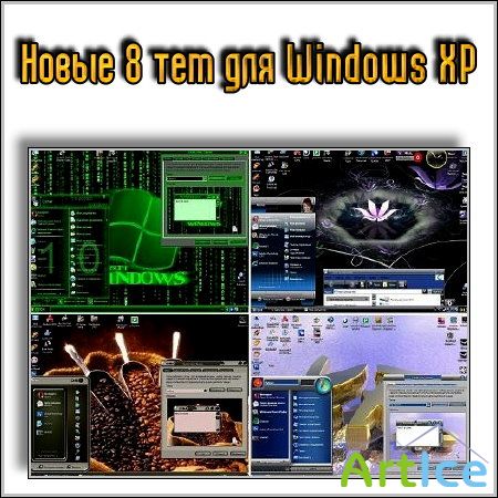  8   Windows XP