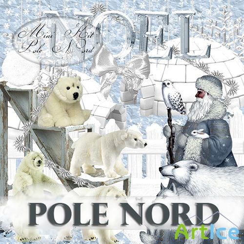 POLE NORD