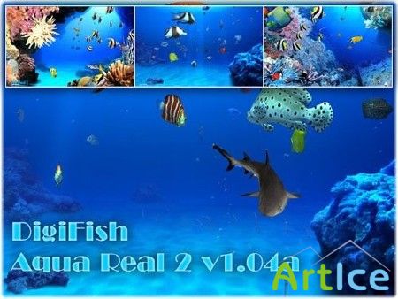 DigiFish Aqua Real 2 v1.04a