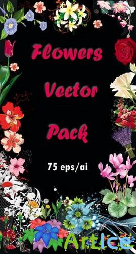 Flower Vector Pack (  75.)