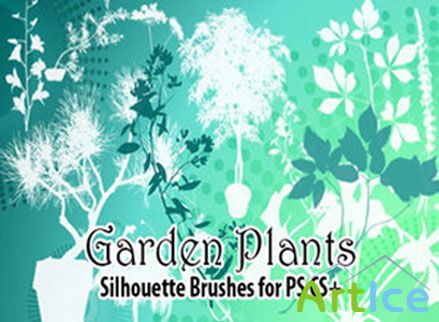 Garden Plants Brushes