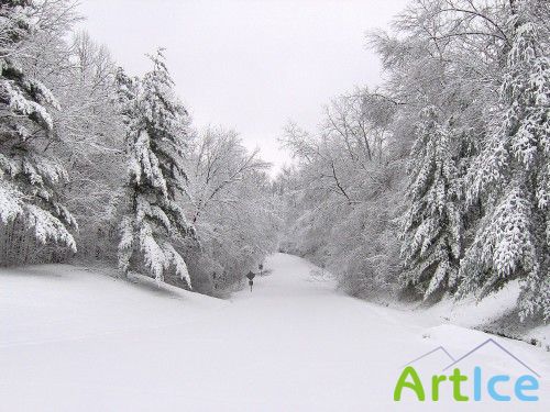 Wallpapers Winter landscapes / ,(2009)