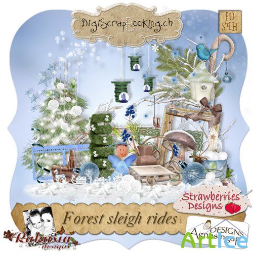    - Forest Sleigh Rides