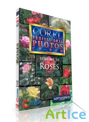 Corel Professional Photos Vol 084 - Roses