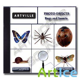 Artville Photo Objects PO020 - Bugs and Insects