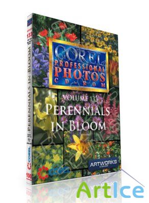 Corel Professional Photos Vol 133 - Perennials in Bloom