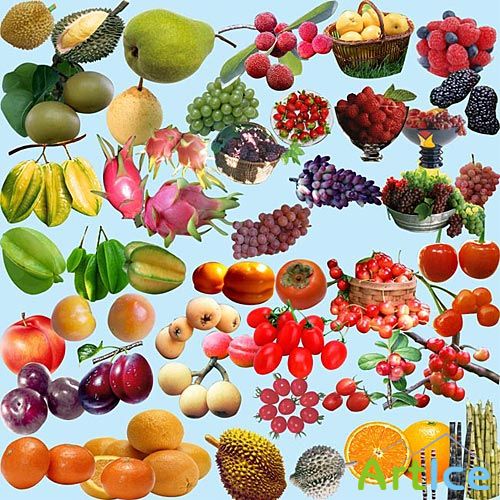 PSD - Fruits set