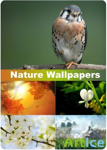 Nature Wallpapers (part 79)
