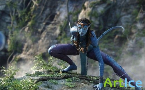  Avatar ( )