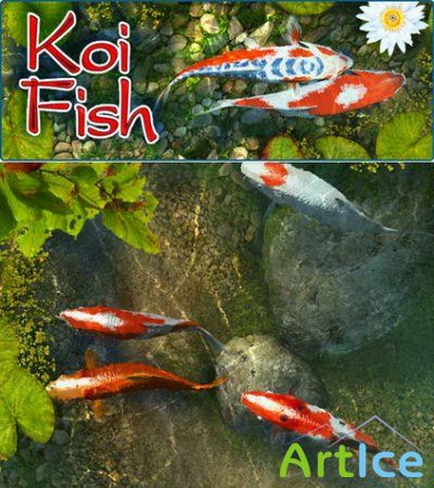 Koi Fish 3D Screensaver 1.0 Build 4 Rus